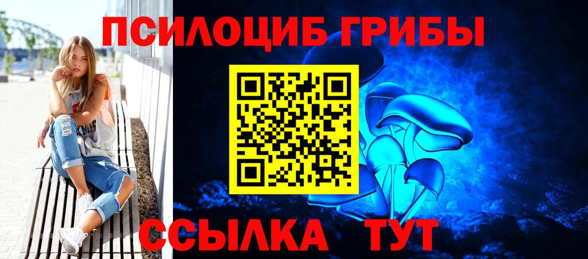 Псилоцибиновые грибы прущие грибы Шумерля