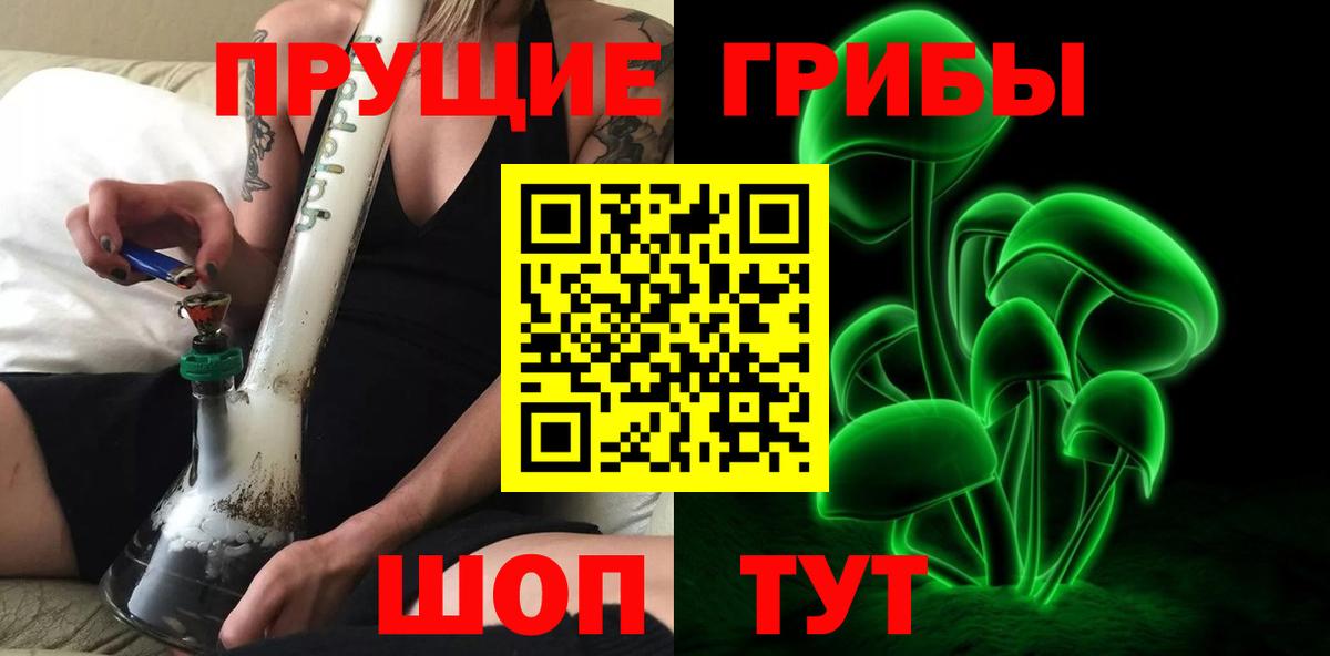 Шумерля  Псилоцибиновые грибы Cubensis  Вход с VPN 